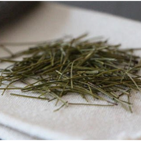 Pine Needle tea